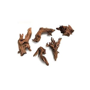 MANGROVEROT Mini, 10-15cm.