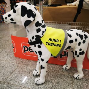 Yukon &laquo;Hund i trening&raquo; Markeringsdekken, str. S