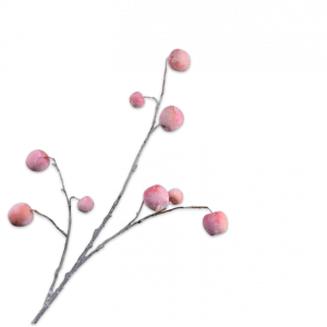 Silk-Ka Eplefrukt Silkeblomst Rosa 123cm