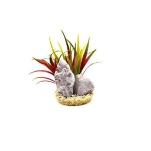ZEBRA STONE BAMBOO Sydeco, 15cm.
