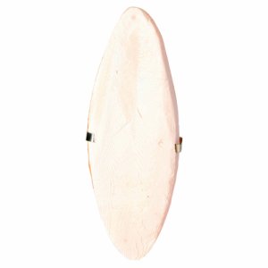 SEPIASKALL m/holder, 16cm.