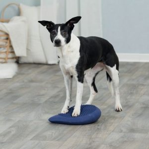 BALANSE-PUTE Trixie, 28×4×28cm, Dark Blue