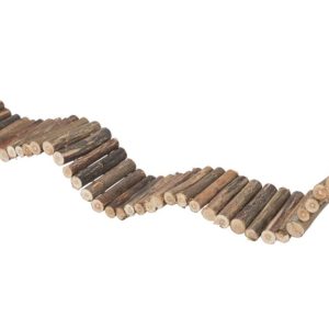 Suspension Bridge, Willow, 61 × 8 Cm