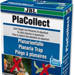 PLANARIA-FELLE Jbl, 10-500L.