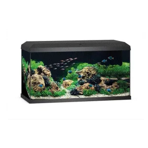 PRIMO 70 Juwel, Akvarium, Svart, 2.0, 61x31x44cm. ca,70L,