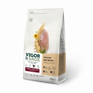 Vs Well-Being Ginseng Regular Adult Dog 12Kg