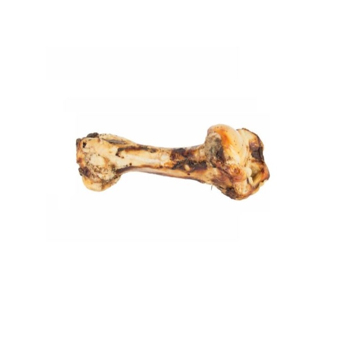 JURASSIC BONE, ca 1kg. - Image 2