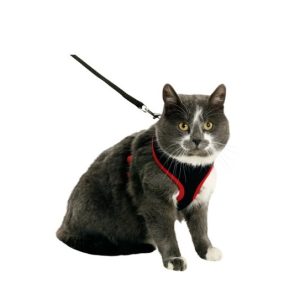 KATTUNGESELE m/kobbel, Svart/Rød, 10.mmx120cm.
