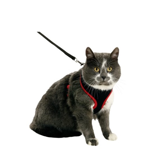 KATTUNGESELE m/kobbel, Svart/Rød, 10.mmx120cm. - Image 2