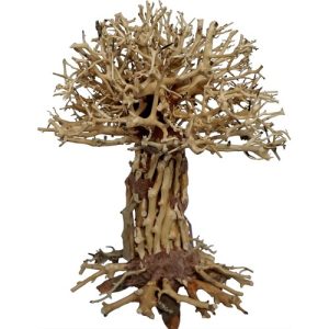 PAGODE BONSAI 4Fish, Trerot, 20x15x25cm.