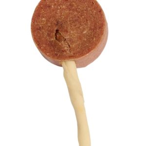 Companion Duck Lollipop, 10G