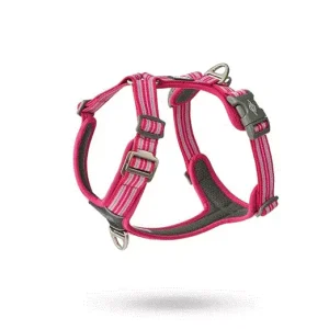 Dog C. Comfort Walk Air™ Harness Wild Rose L