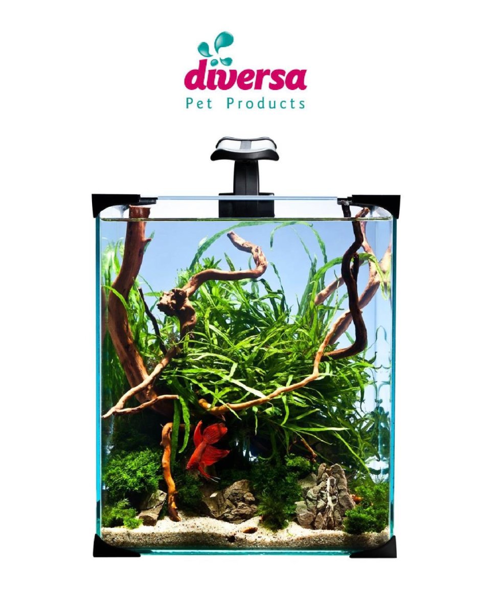Akvarium Nano Led 20 25X25X30Cm - Image 2