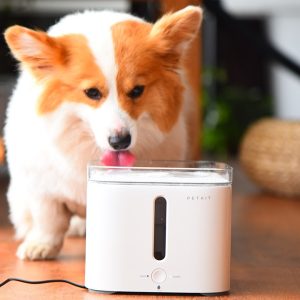 EVERSWEET 2S PetKit, Smart Vannfontene