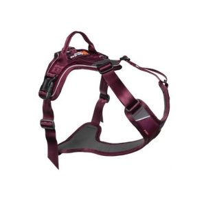 Non-Stop, Ramble harness, unisex, purple, M, single