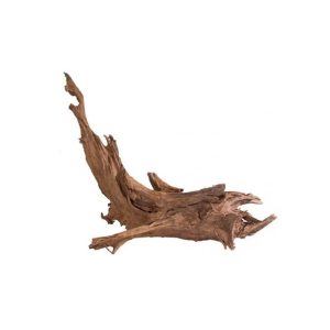 MANGROVEROT Small, 15-25cm.