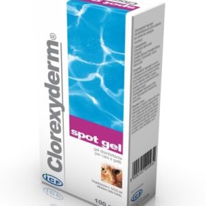 Clorexyderm Spot gel 100ml