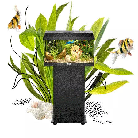 PRIMO 70 Juwel, Akvarium, Svart, 2.0, 61x31x44cm. ca,70L, - Image 4