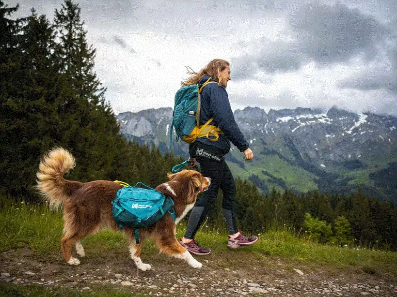 Non-Stop Trail Light Dog Backpack Teal M - Image 7