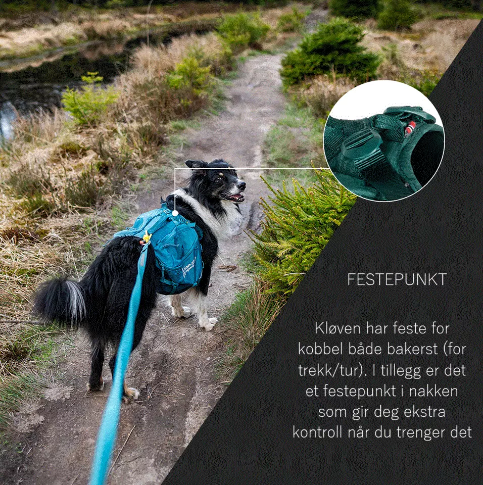 Non-Stop Trail Light Dog Backpack Teal M - Image 5
