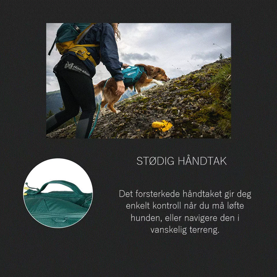 Non-Stop Trail Light Dog Backpack Teal M - Image 6